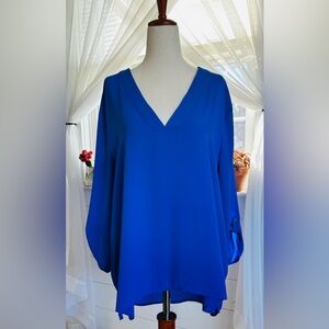 EXPRESS BLUE V-NECK BLOUSE
SIZE: LARGE